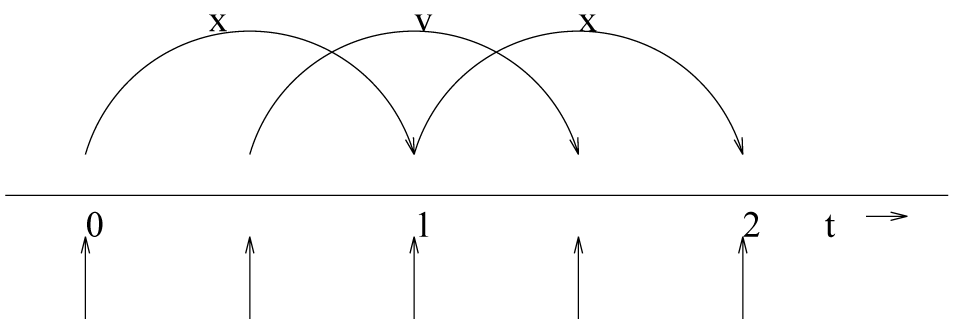 图3.7: 蛙跳式积分方法. 该算法被称为蛙跳是因为 $\bi r$ 和 $\bi v$ 好像青蛙一样在彼此的背上跳跃.
