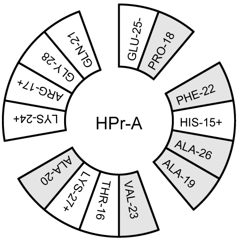 图 8.13: HPr N端螺旋的旋轮投影图
