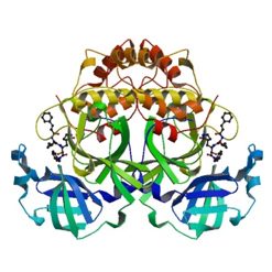 PDB结构5N5O